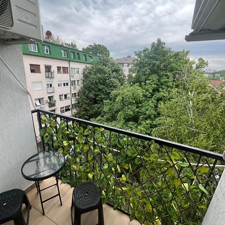 בלגרד Pavlovic Apartman מראה חיצוני תמונה