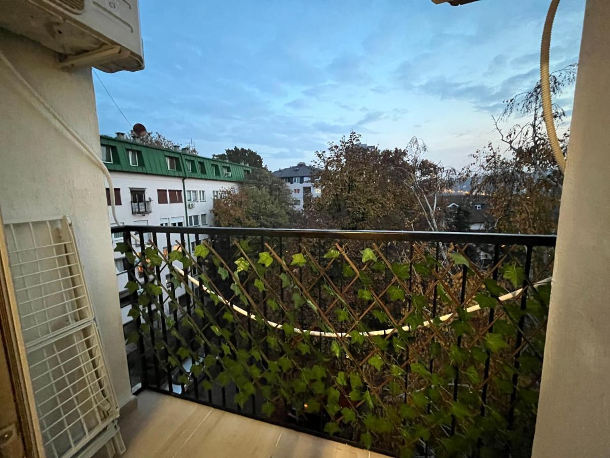 בלגרד Pavlovic Apartman מראה חיצוני תמונה