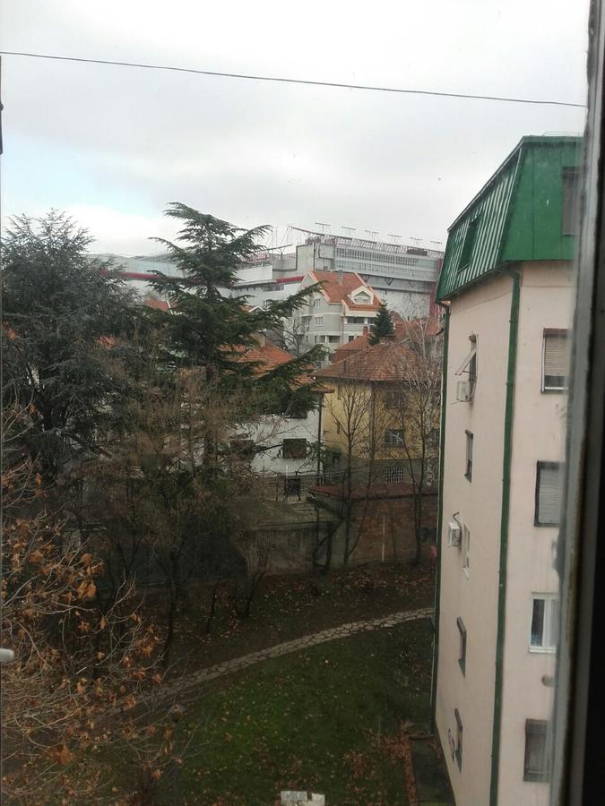בלגרד Pavlovic Apartman מראה חיצוני תמונה