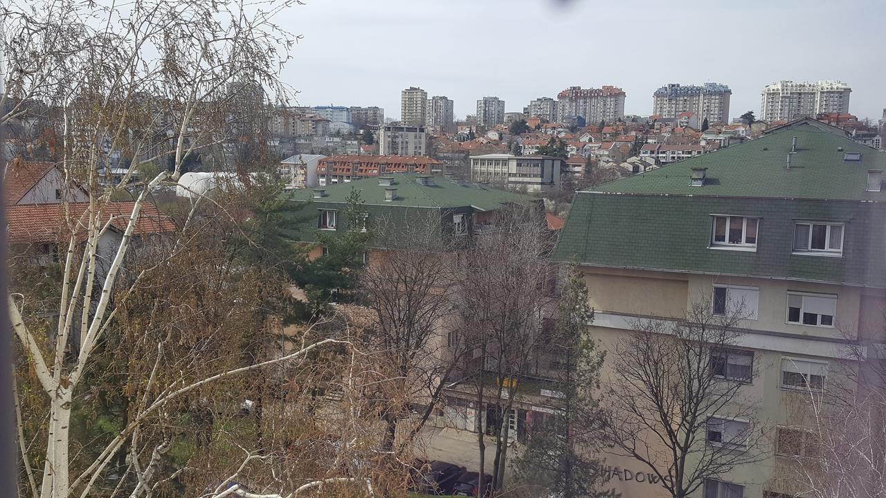 בלגרד Pavlovic Apartman מראה חיצוני תמונה