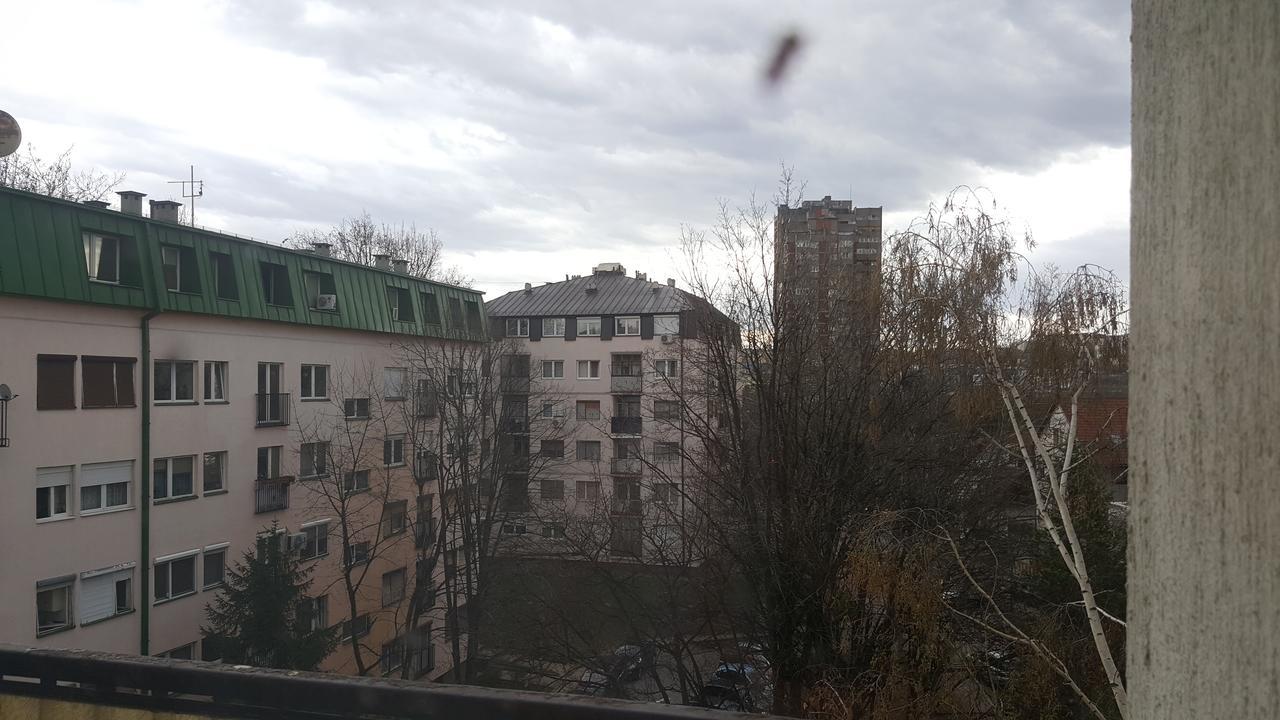 בלגרד Pavlovic Apartman מראה חיצוני תמונה